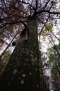 DSC00127-scaled.jpg