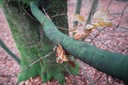 DSC00080-scaled.jpg