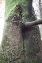 DSC00078-scaled.jpg