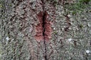 DSC00137-scaled.jpg