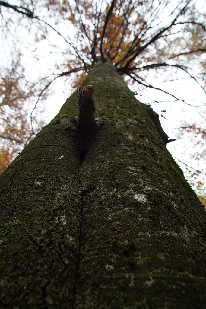 DSC00139-scaled.jpg