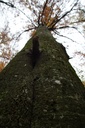 DSC00139-scaled.jpg