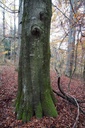 DSC00145-scaled.jpg