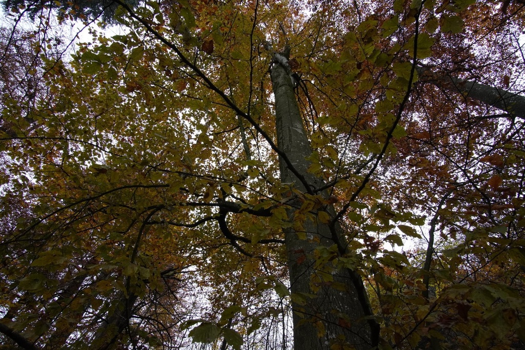 DSC00051-scaled.jpg