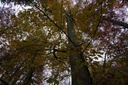 DSC00051-scaled.jpg