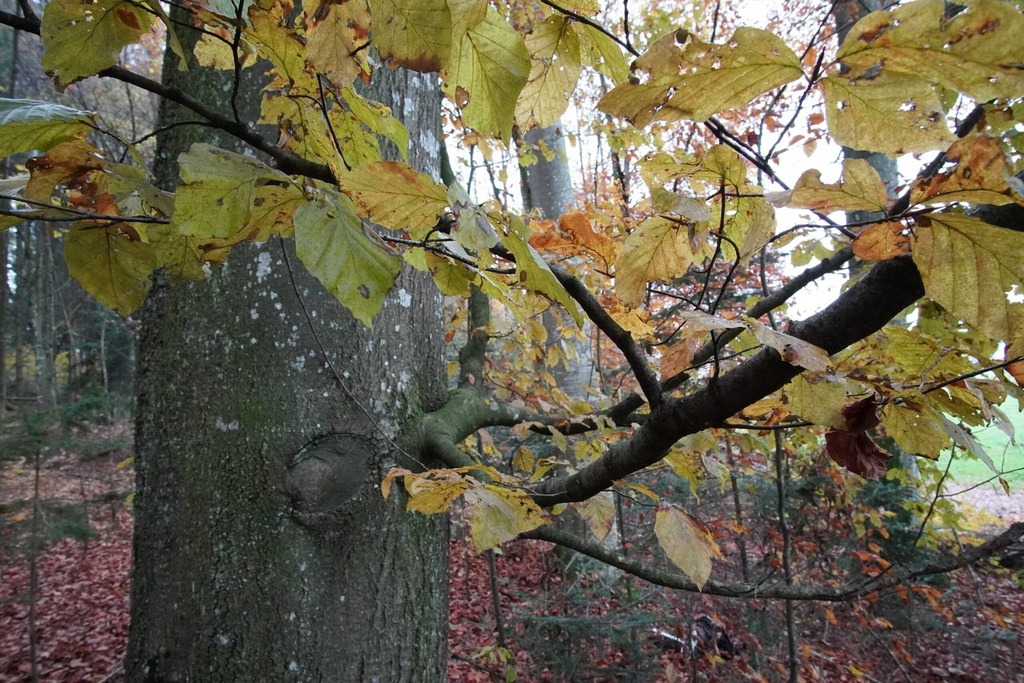 DSC00054-scaled.jpg