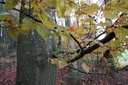 DSC00054-scaled.jpg
