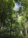 20250718_093218_Easy-Resize.com_.jpg