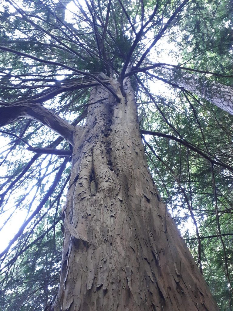 20190920_102640-scaled.jpg