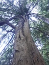 20190920_102640-scaled.jpg