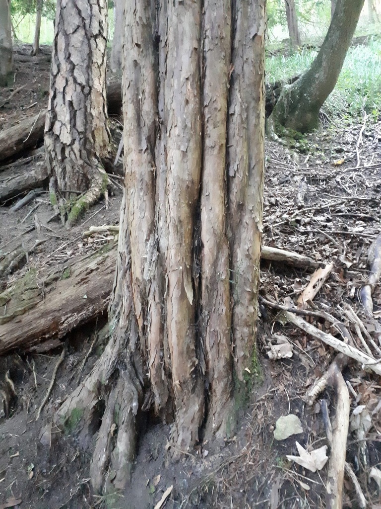 20190920_102702-scaled.jpg