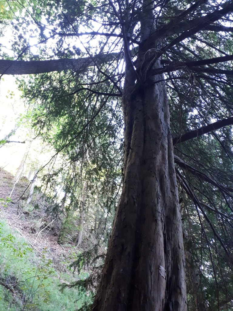 20190920_102725-scaled.jpg