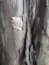 20190920_102754-scaled.jpg