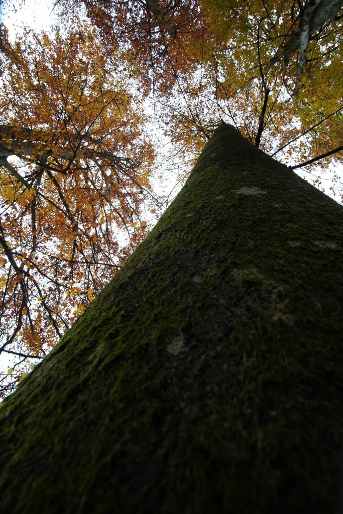 DSC00059-scaled.jpg