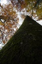 DSC00059-scaled.jpg