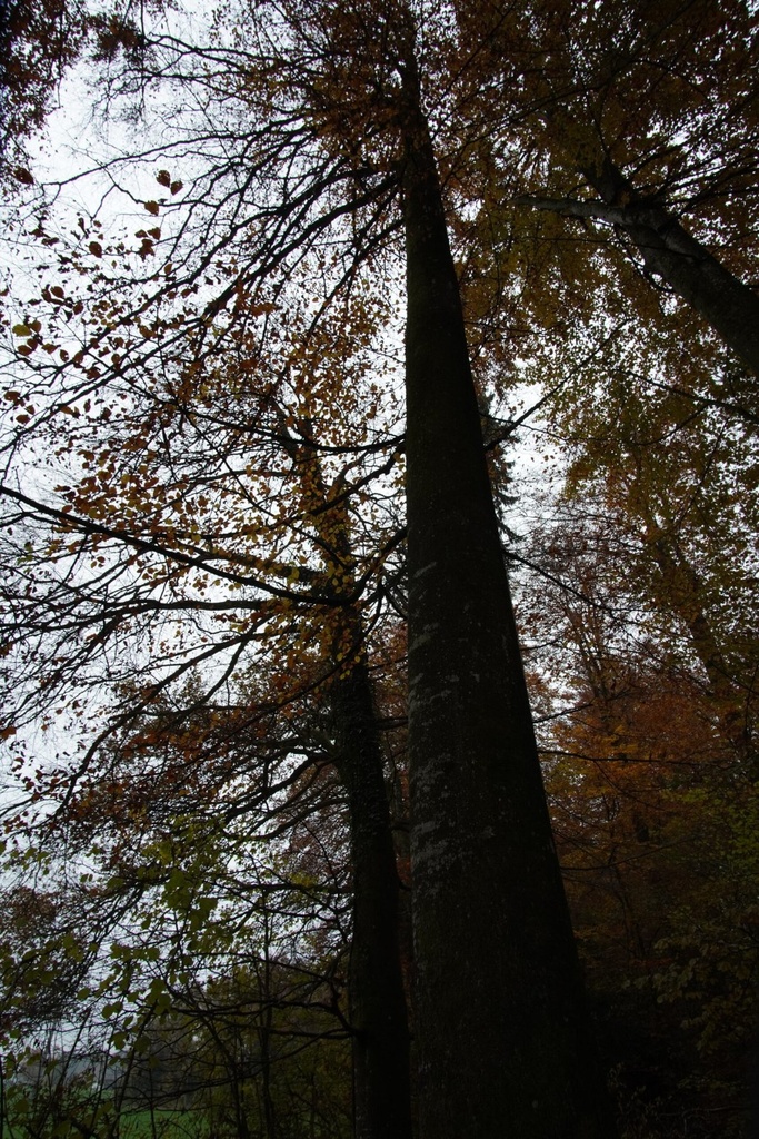 DSC00061-scaled.jpg