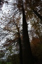 DSC00061-scaled.jpg