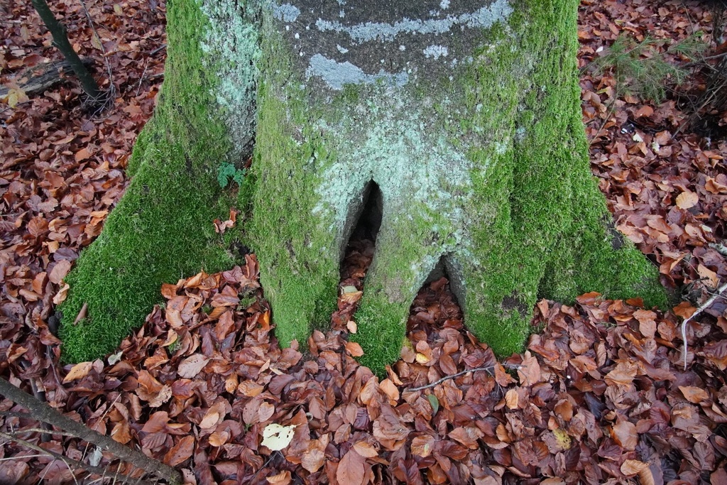DSC00062-scaled.jpg