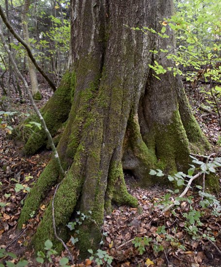 detail_143_2.jpg