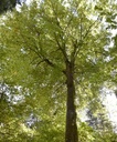 detail_143_1.jpg