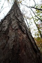 DSC00154-scaled.jpg