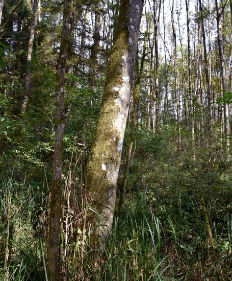 detail_140_2.jpg