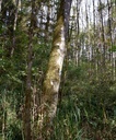 detail_140_2.jpg