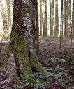 detail_138_2.jpg