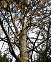 detail_138_1.jpg