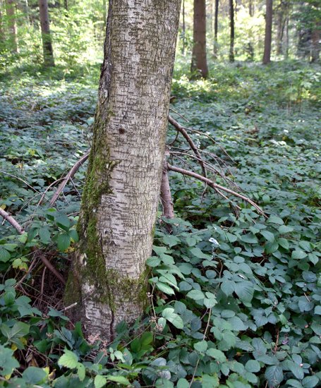 detail_144_2.jpg