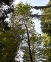 detail_144_1.jpg