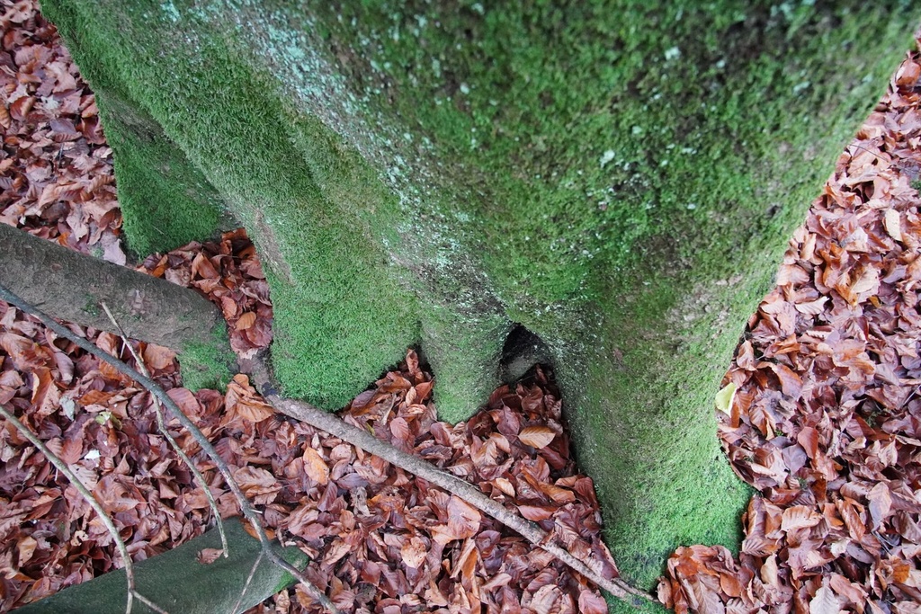 3-scaled.jpg