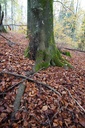 DSC00098-scaled.jpg