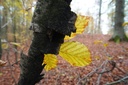 DSC00099-scaled.jpg
