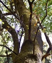 detail_141_2.jpg