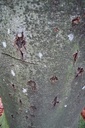 DSC00071-scaled.jpg