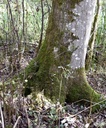detail_139_2.jpg