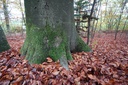 DSC00073-scaled.jpg