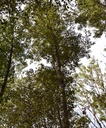 detail_139_1.jpg