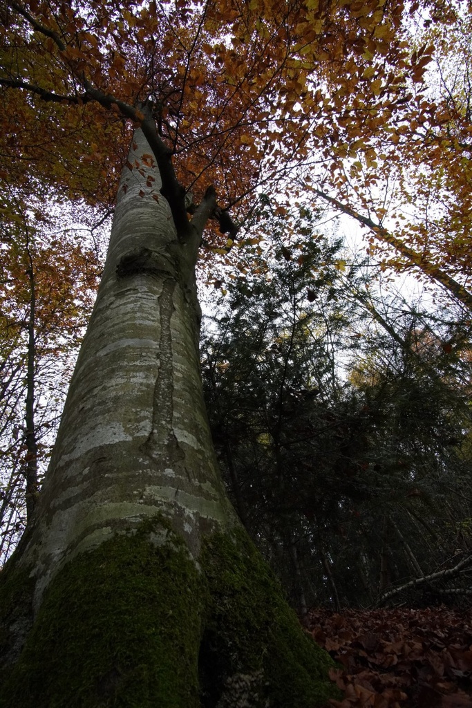 DSC00035-scaled.jpg