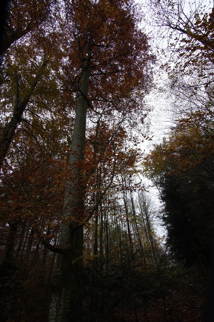 DSC00041-scaled.jpg