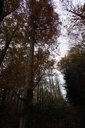 DSC00041-scaled.jpg