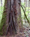 detail_145_2.jpg