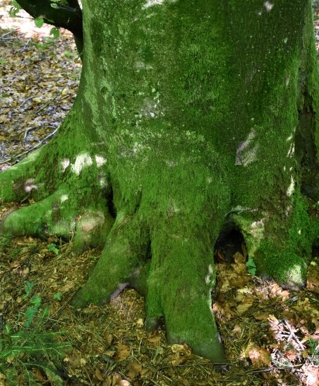 detail_403_1.jpg