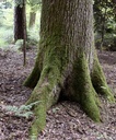 detail_137_2.jpg