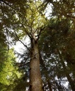 detail_137_1.jpg