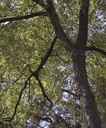 detail_136_2.jpg