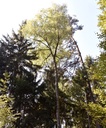 detail_136_1.jpg