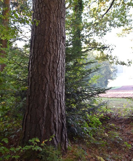 detail_124_2.jpg