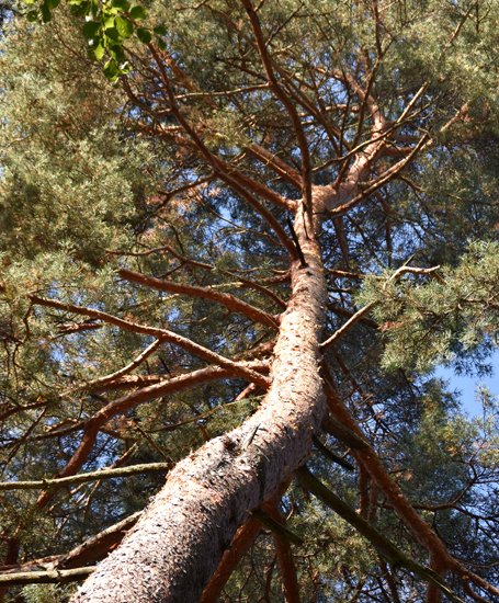 detail_124_1.jpg